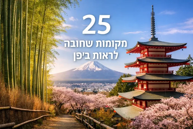 תמונת אווירה של טיול ביפן