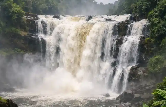 מפלי זונגו נשפכים בין סלעים וצמחייה טרופית, עם מים לבנים ויער ירוק מסביב